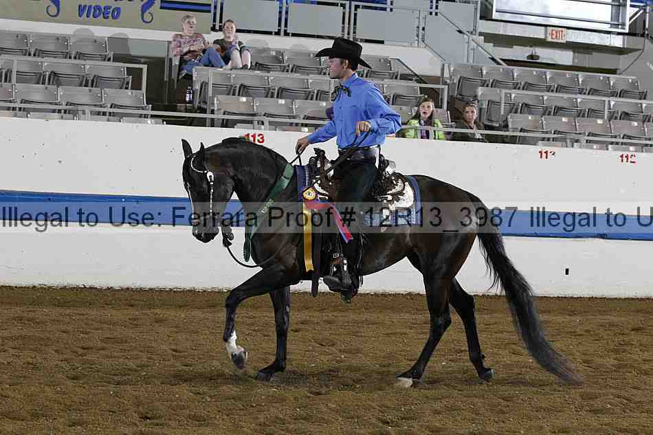 Proof 12r13_3987
