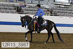 12r13_3987 proof