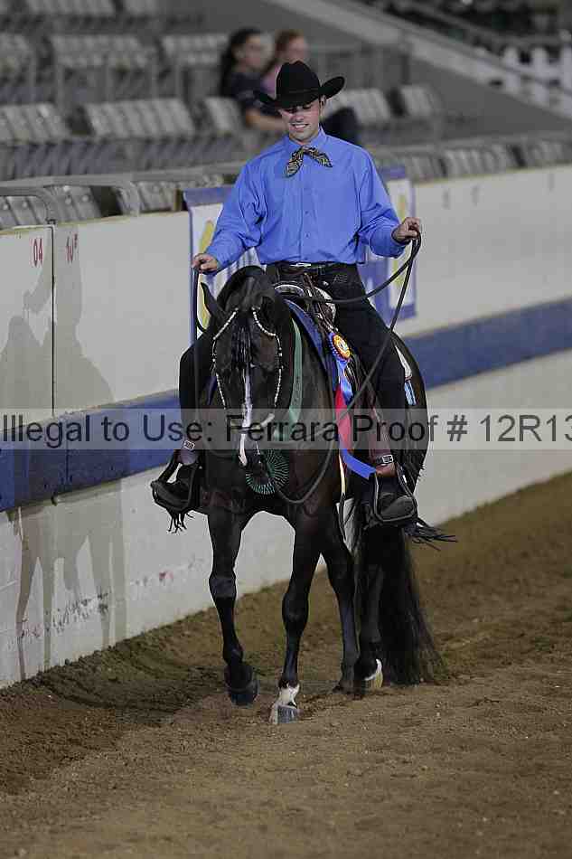 Proof 12r13_3989