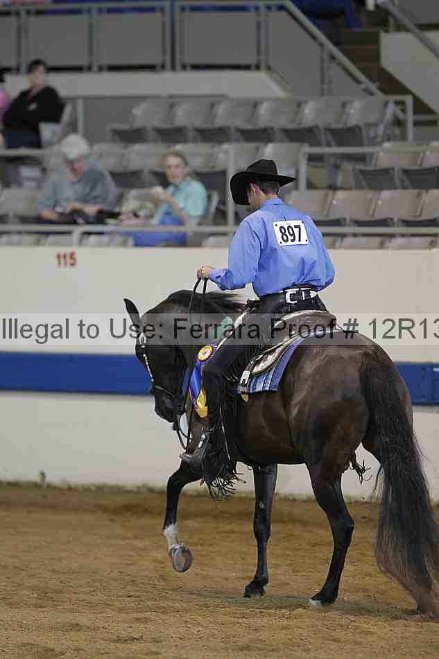 Proof 12r13_3994