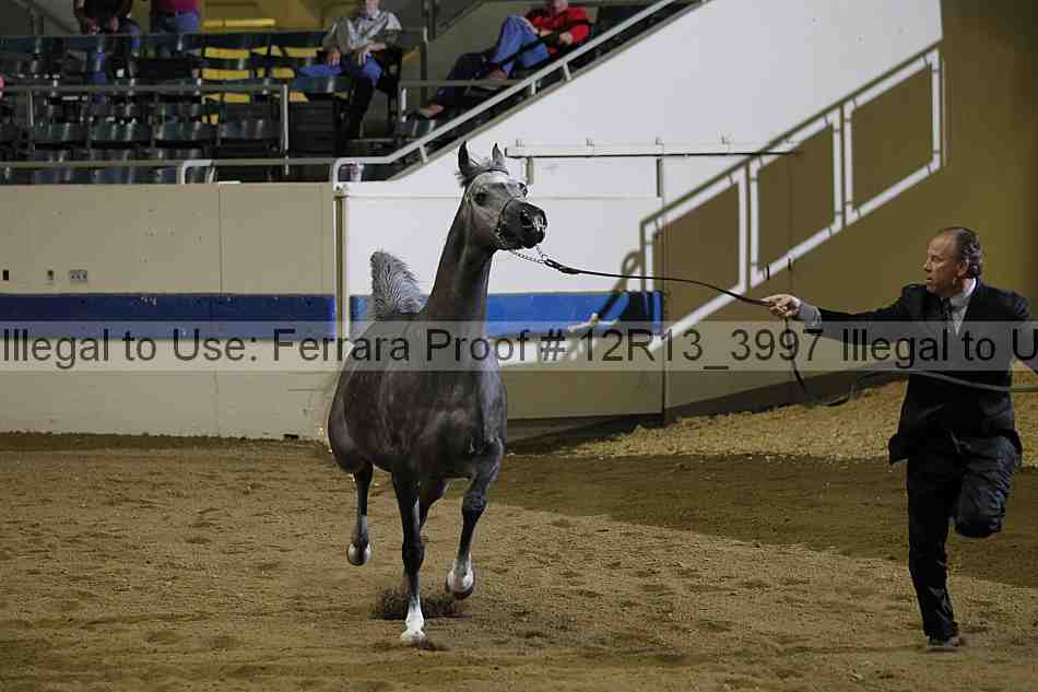 Proof 12r13_3997