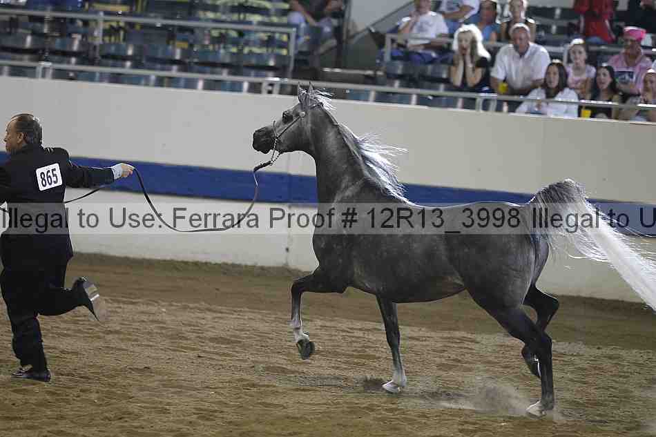 Proof 12r13_3998
