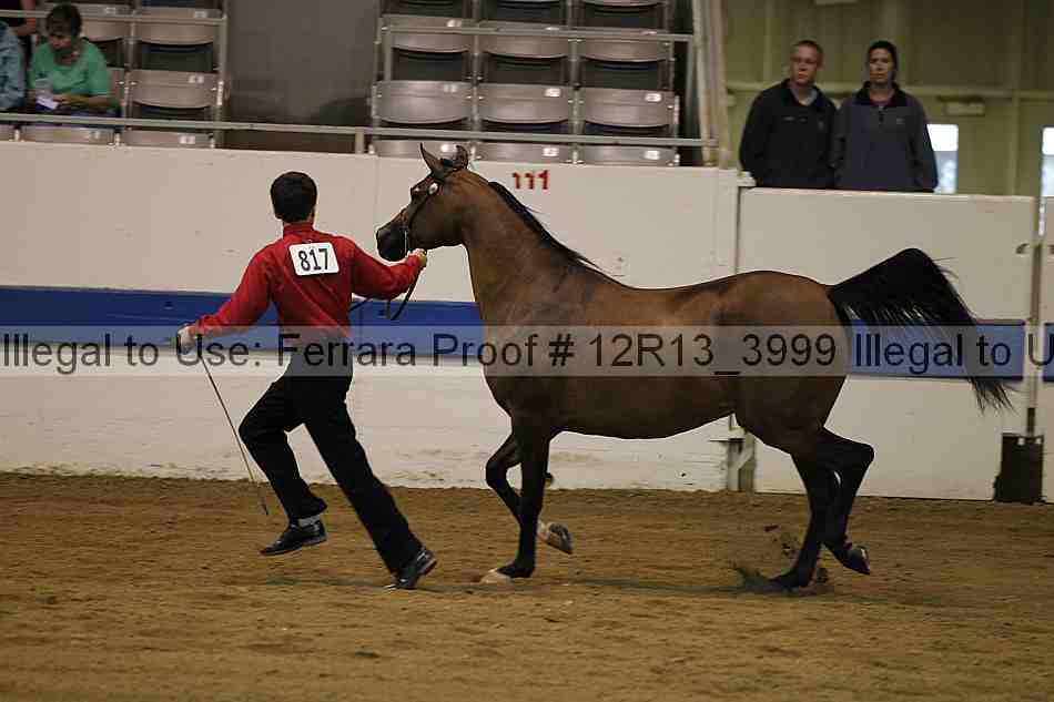 Proof 12r13_3999