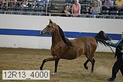 12r13_4000 proof