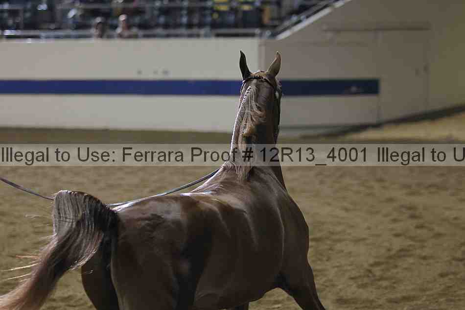 Proof 12r13_4001