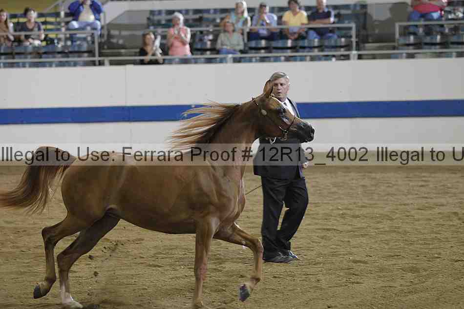 Proof 12r13_4002