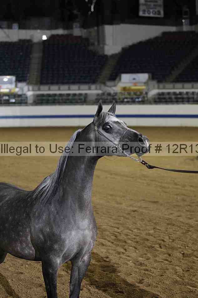 Proof 12r13_4004