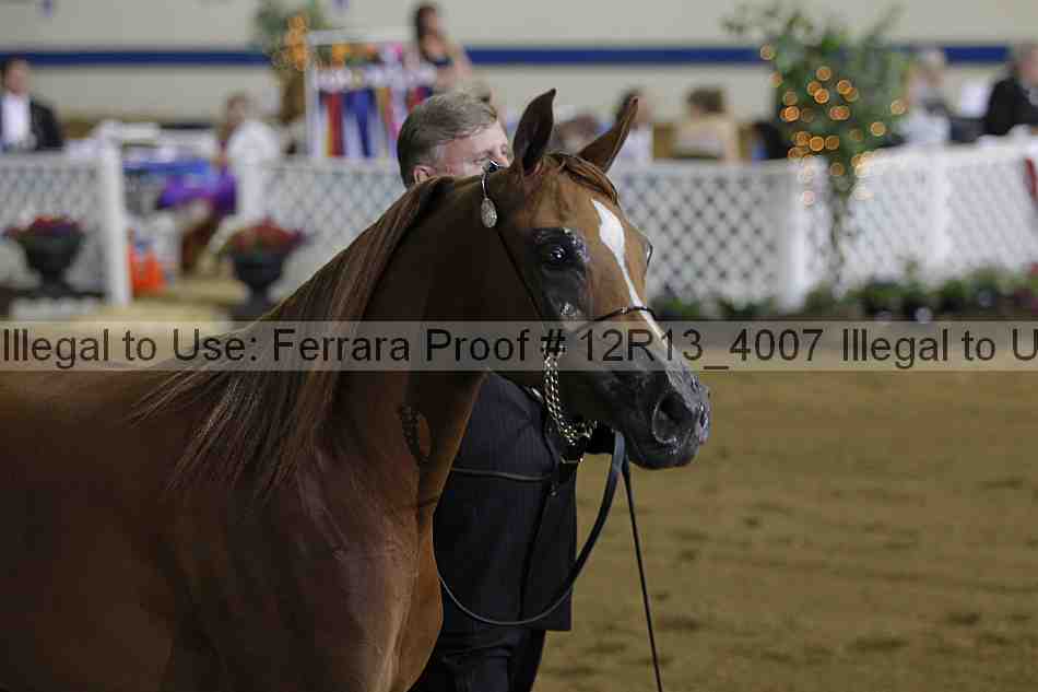 Proof 12r13_4007