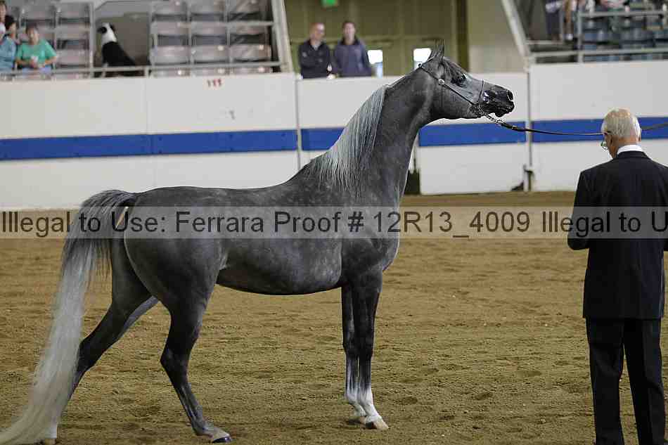 Proof 12r13_4009