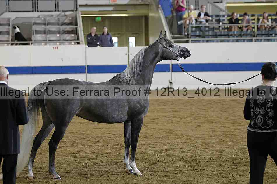 Proof 12r13_4012