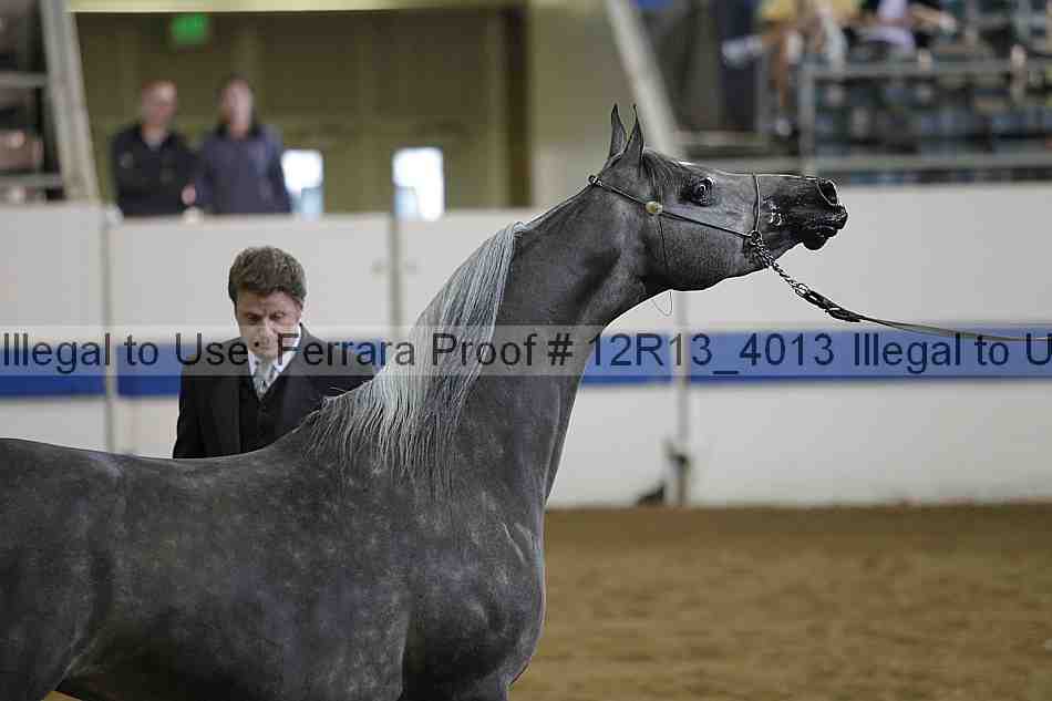 Proof 12r13_4013
