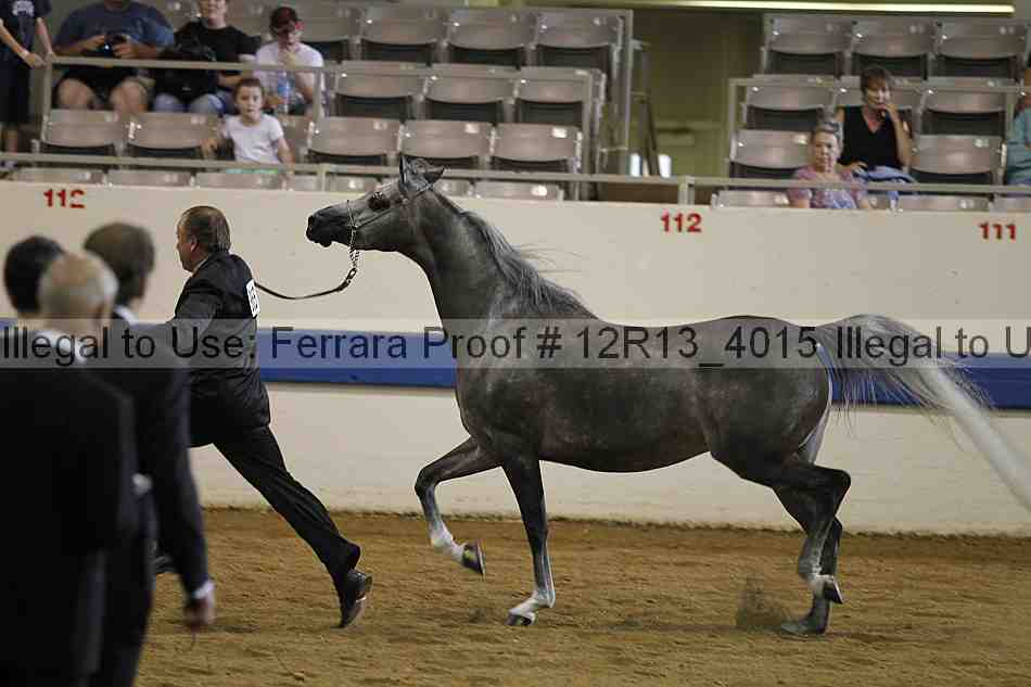 Proof 12r13_4015