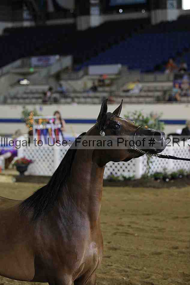 Proof 12r13_4016