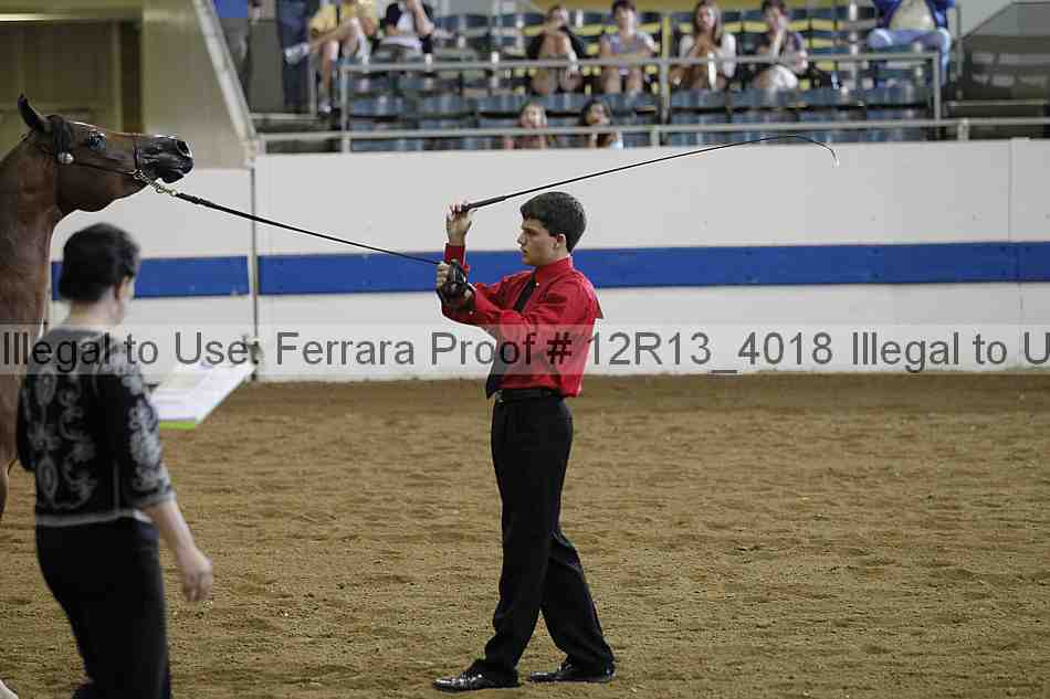 Proof 12r13_4018