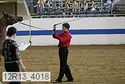 12r13_4018 proof