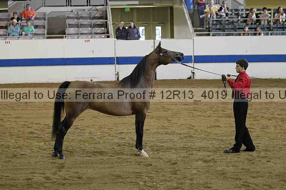 Proof 12r13_4019