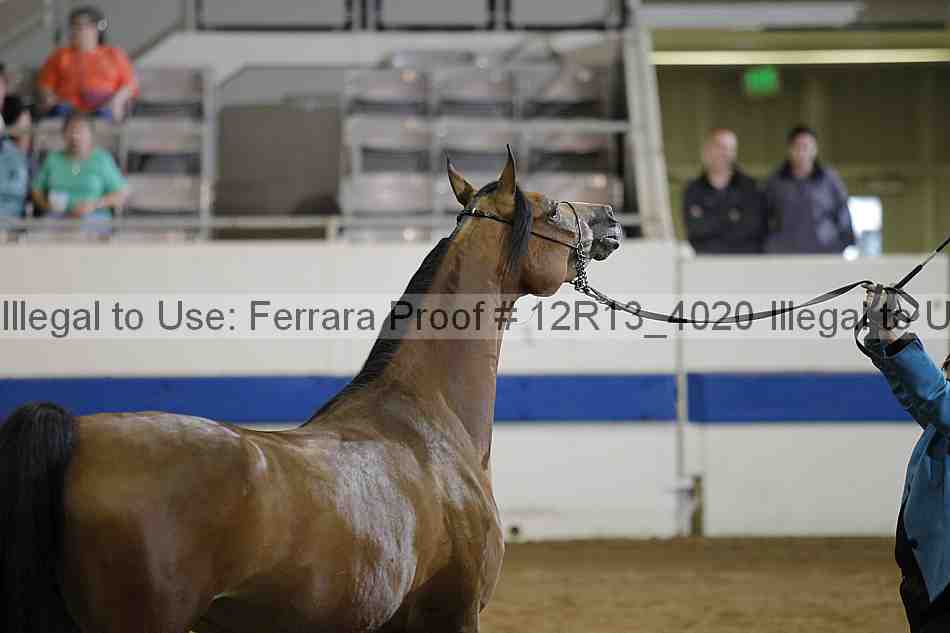Proof 12r13_4020