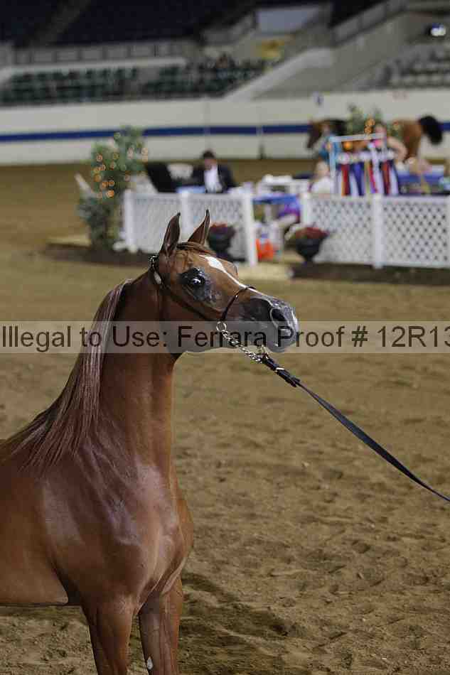 Proof 12r13_4024