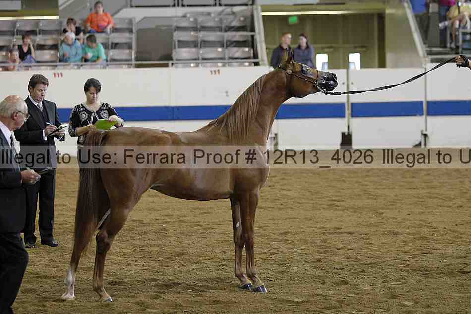 Proof 12r13_4026