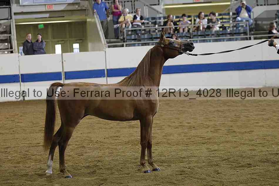 Proof 12r13_4028