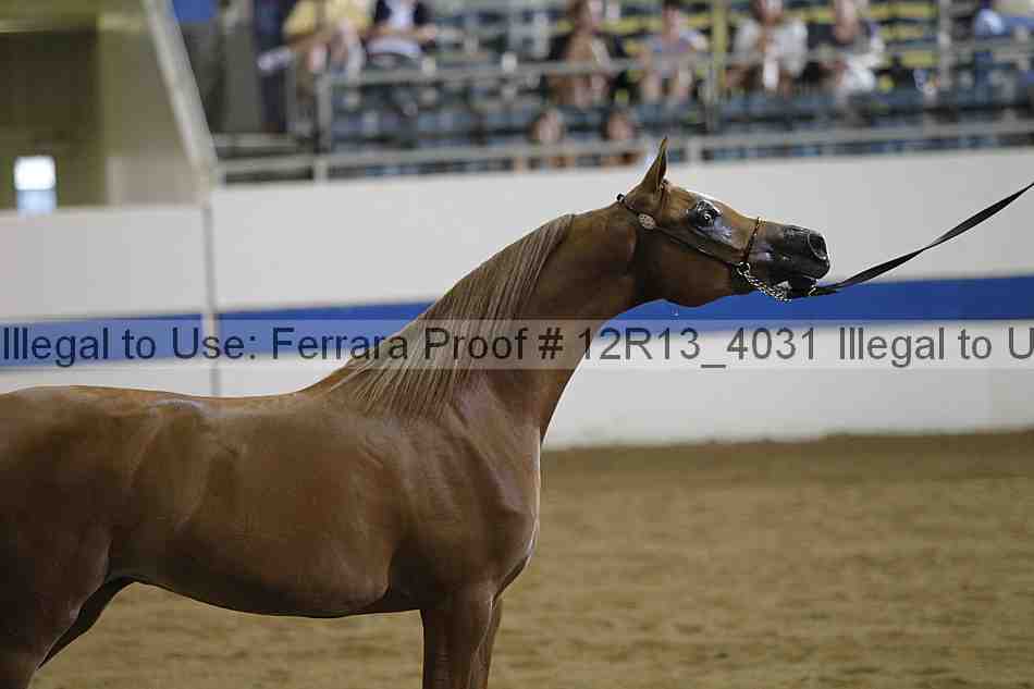 Proof 12r13_4031