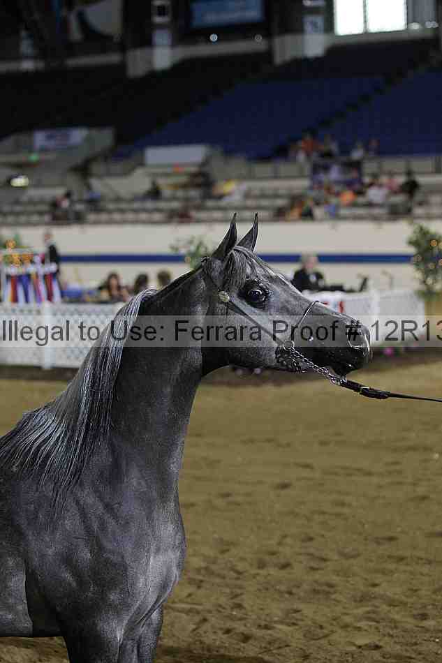 Proof 12r13_4032
