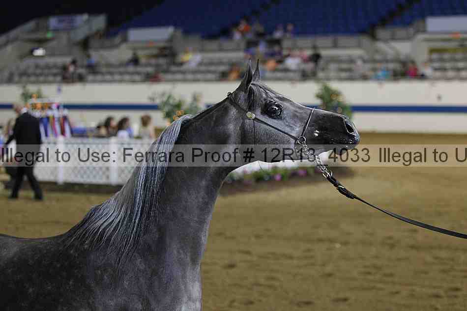 Proof 12r13_4033