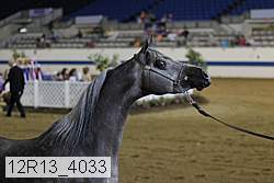 12r13_4033 proof