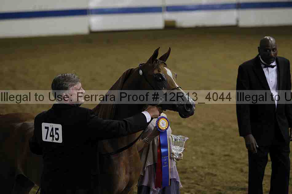 Proof 12r13_4044