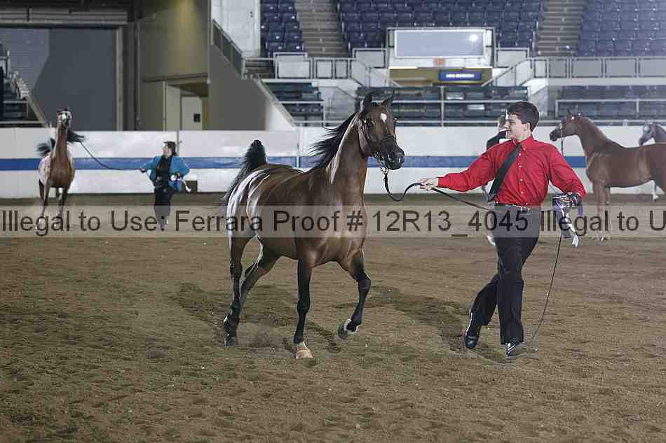 Proof 12r13_4045