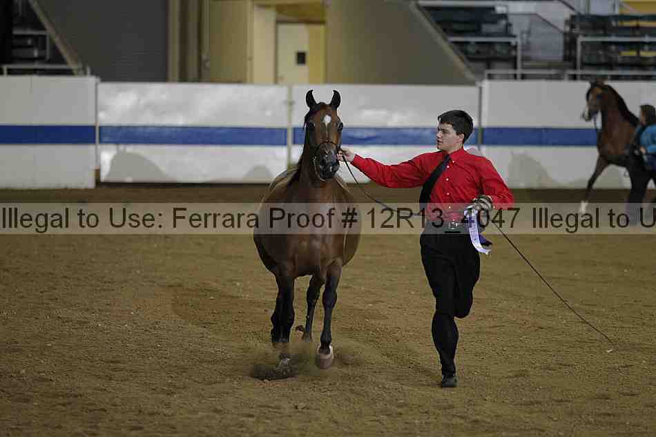 Proof 12r13_4047