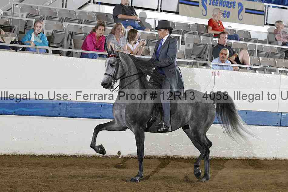 Proof 12r13_4058