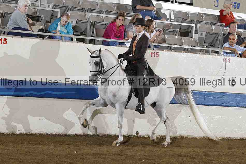 Proof 12r13_4059