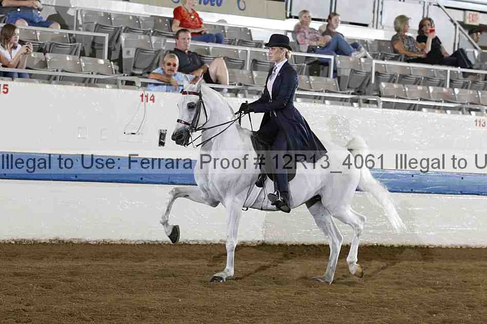 Proof 12r13_4061
