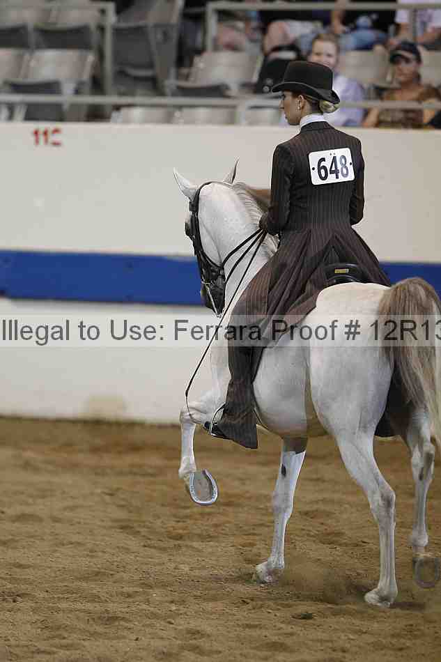 Proof 12r13_4062