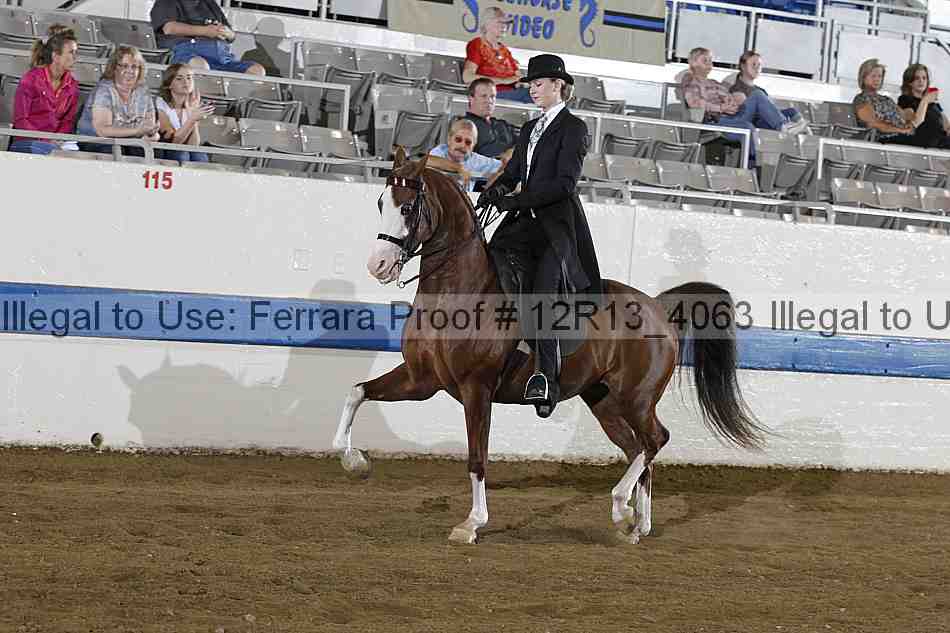 Proof 12r13_4063