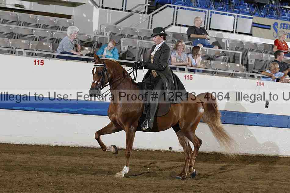 Proof 12r13_4064