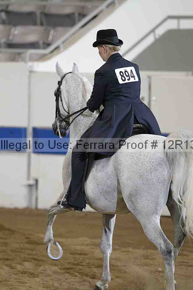 Proof 12r13_4065