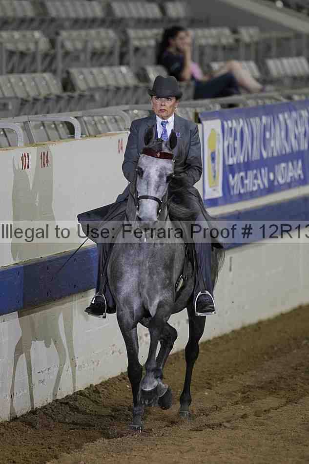 Proof 12r13_4067