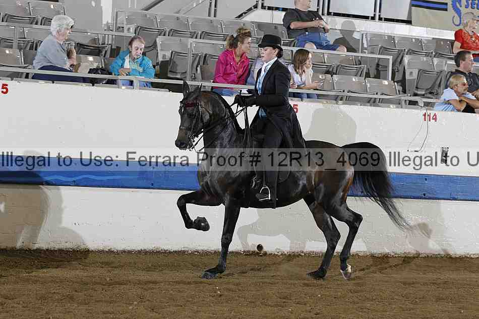 Proof 12r13_4069