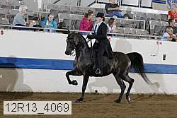 12r13_4069 proof