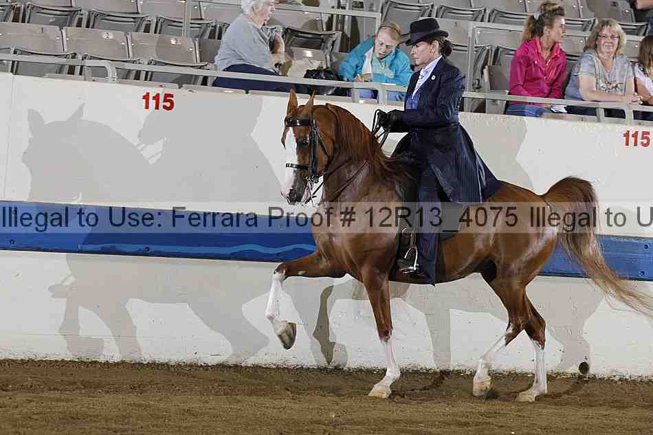 Proof 12r13_4075