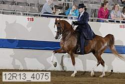 12r13_4075 proof