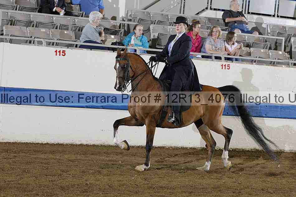 Proof 12r13_4076