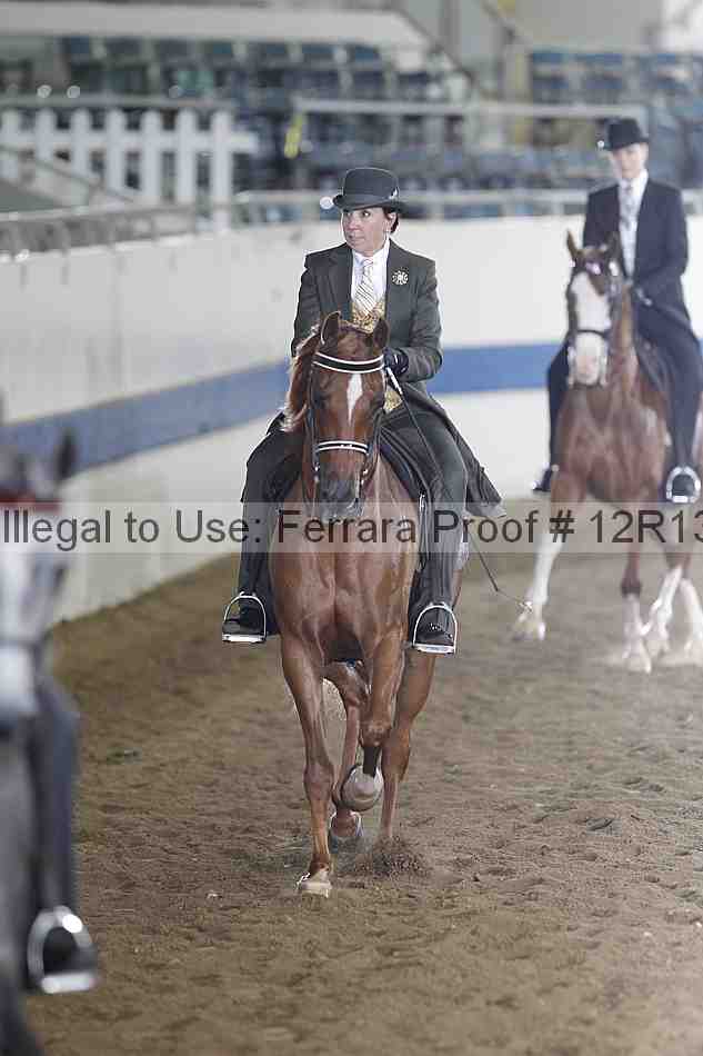 Proof 12r13_4078