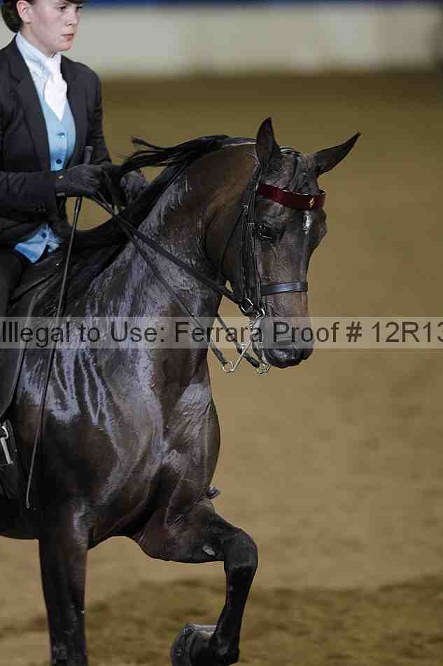 Proof 12r13_4082
