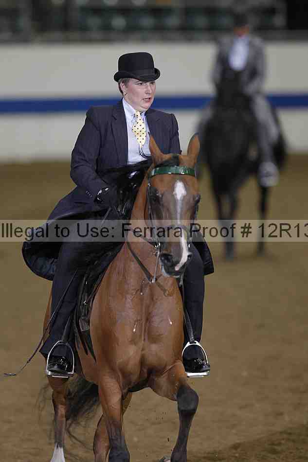Proof 12r13_4098