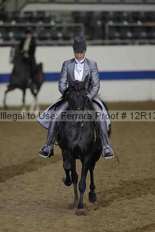 Proof 12r13_4099