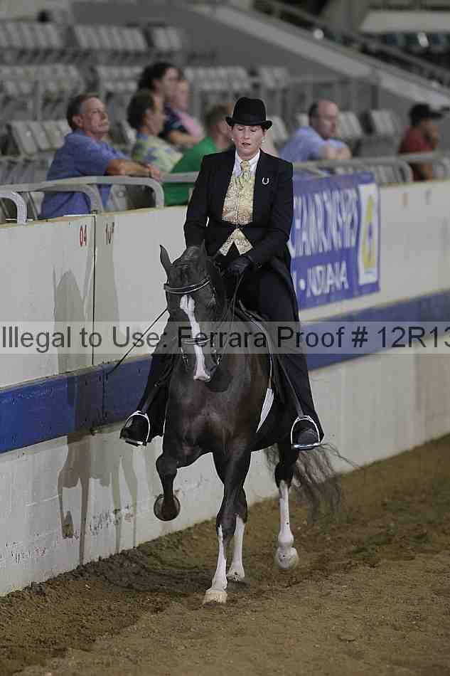 Proof 12r13_4101