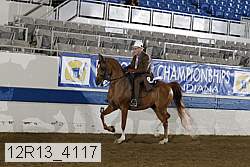 12r13_4117 proof